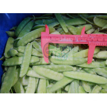 Vainas de guisantes congelados IQF Verduras